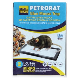 Ποντικοπαγίδες  Μικρές (2 τεμ)